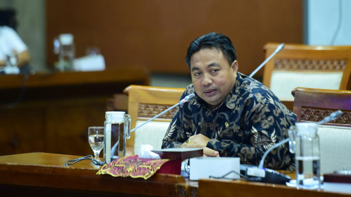 Anggota DPR RI I Nyoman Parta