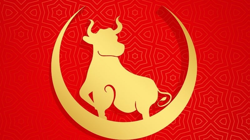 Ramalan shio kerbau