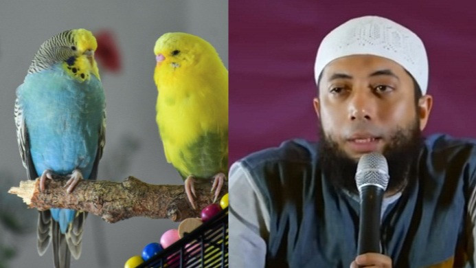 Tolong Meski Suara Kicauannya Menarik, Burung Ternyata Tak Perlu Dipelihara di Kandang? Ustaz ini Bilang Nantinya...
            - galeri foto