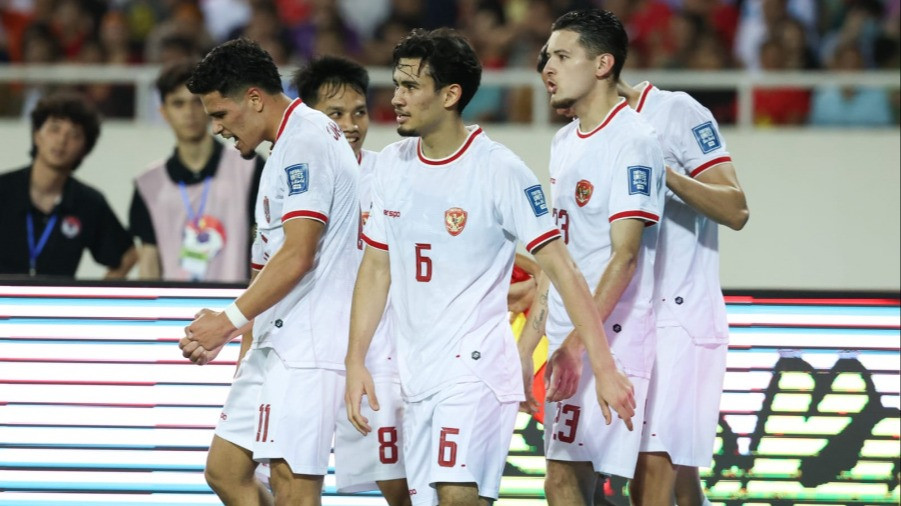 Pemain Naturalisasi Timnas Indonesia