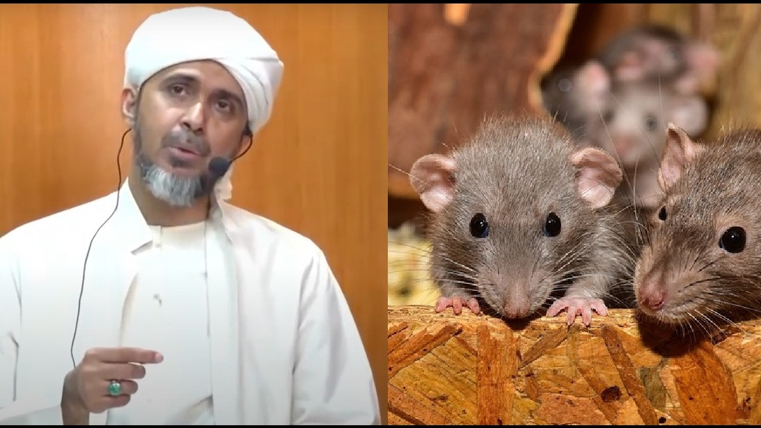 Habib Ali Zaenal Abidin Al Hamid soal tikus