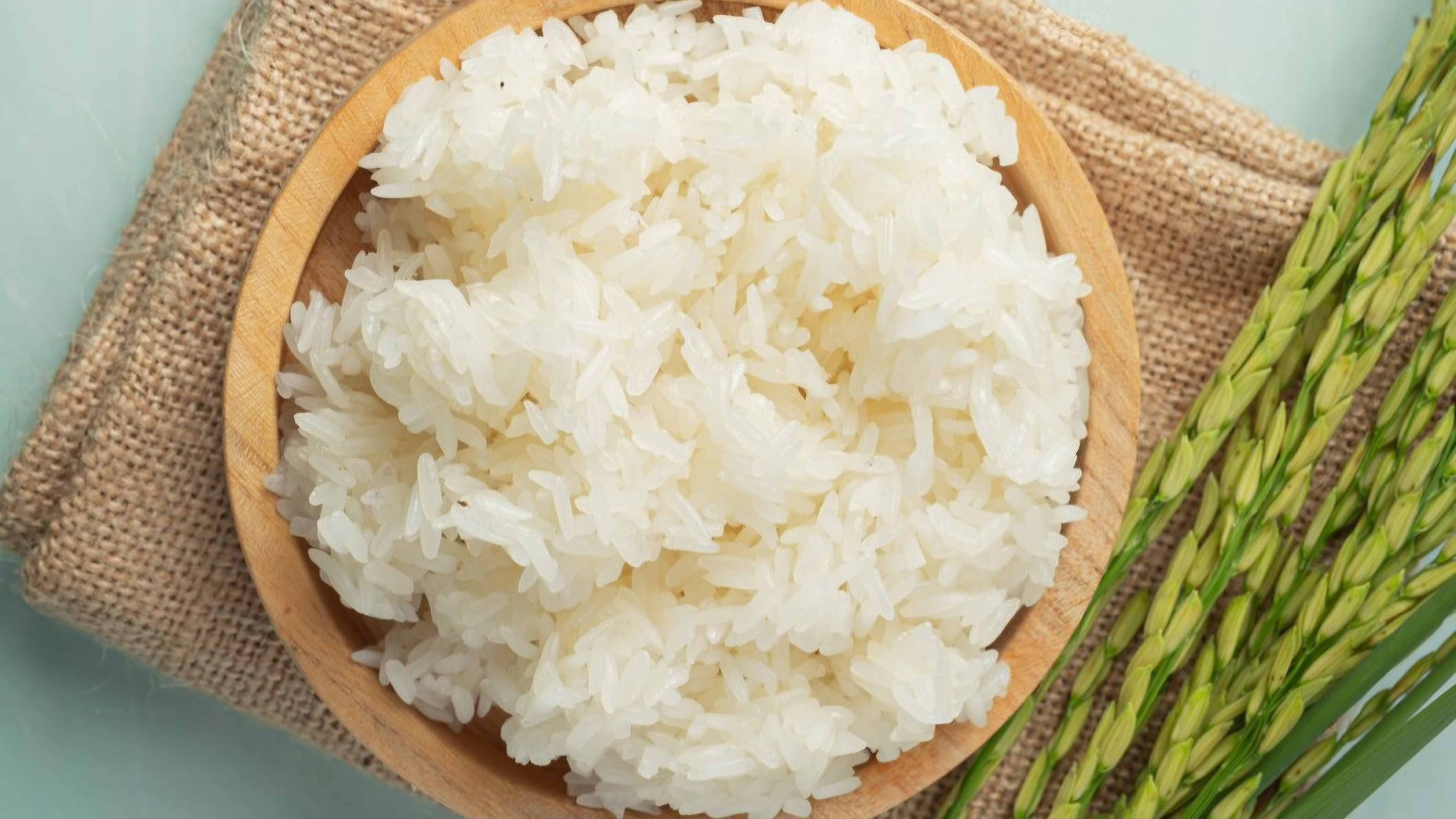 Ilustrasi Nasi Putih