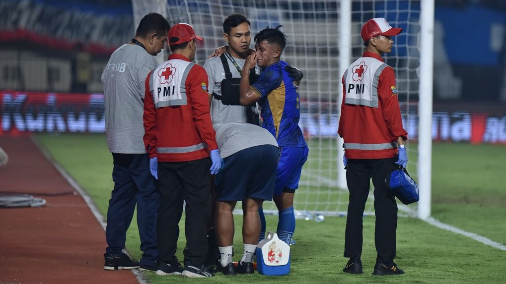 Pemain Persib, Febri Hariyadi