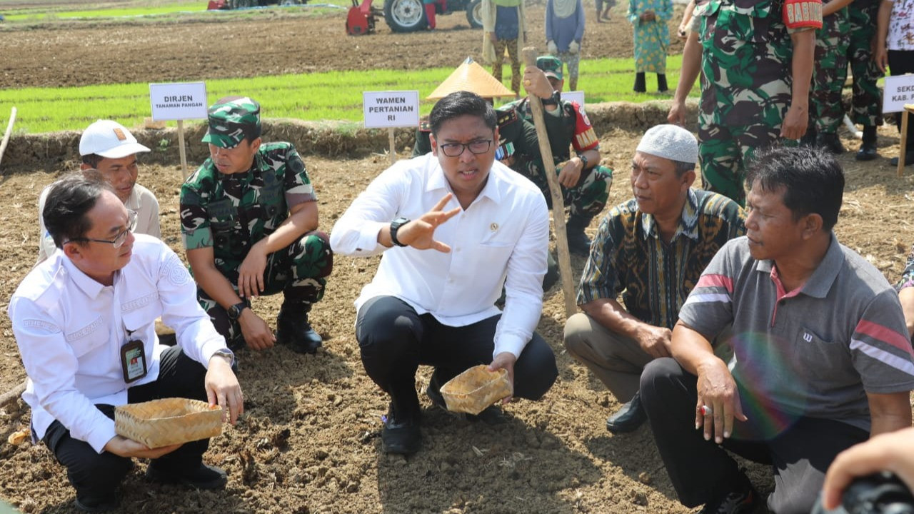 Wakil Menteri Pertanian (Wamentan) Sudaryono