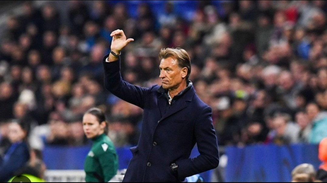 Herve Renard, Pelatih Baru Timnas Arab Saudi