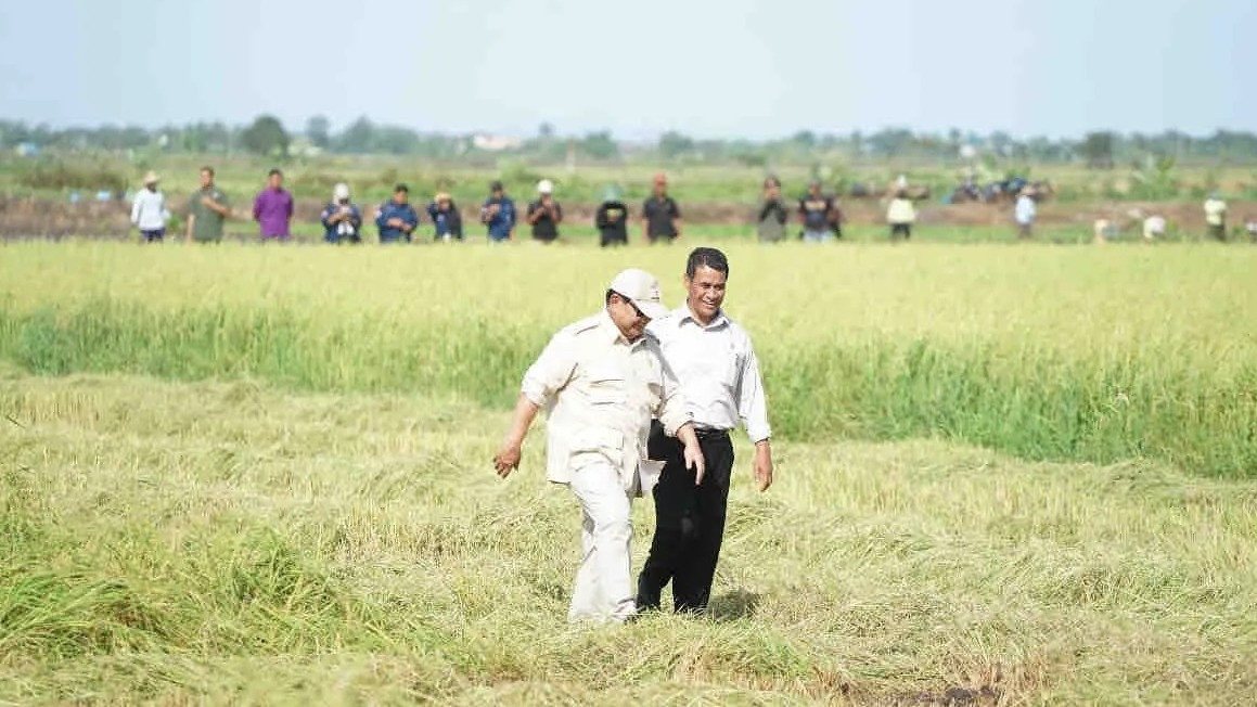 Presiden Prabowo Subianto Tinjau Swasembada Pangan di Merauke