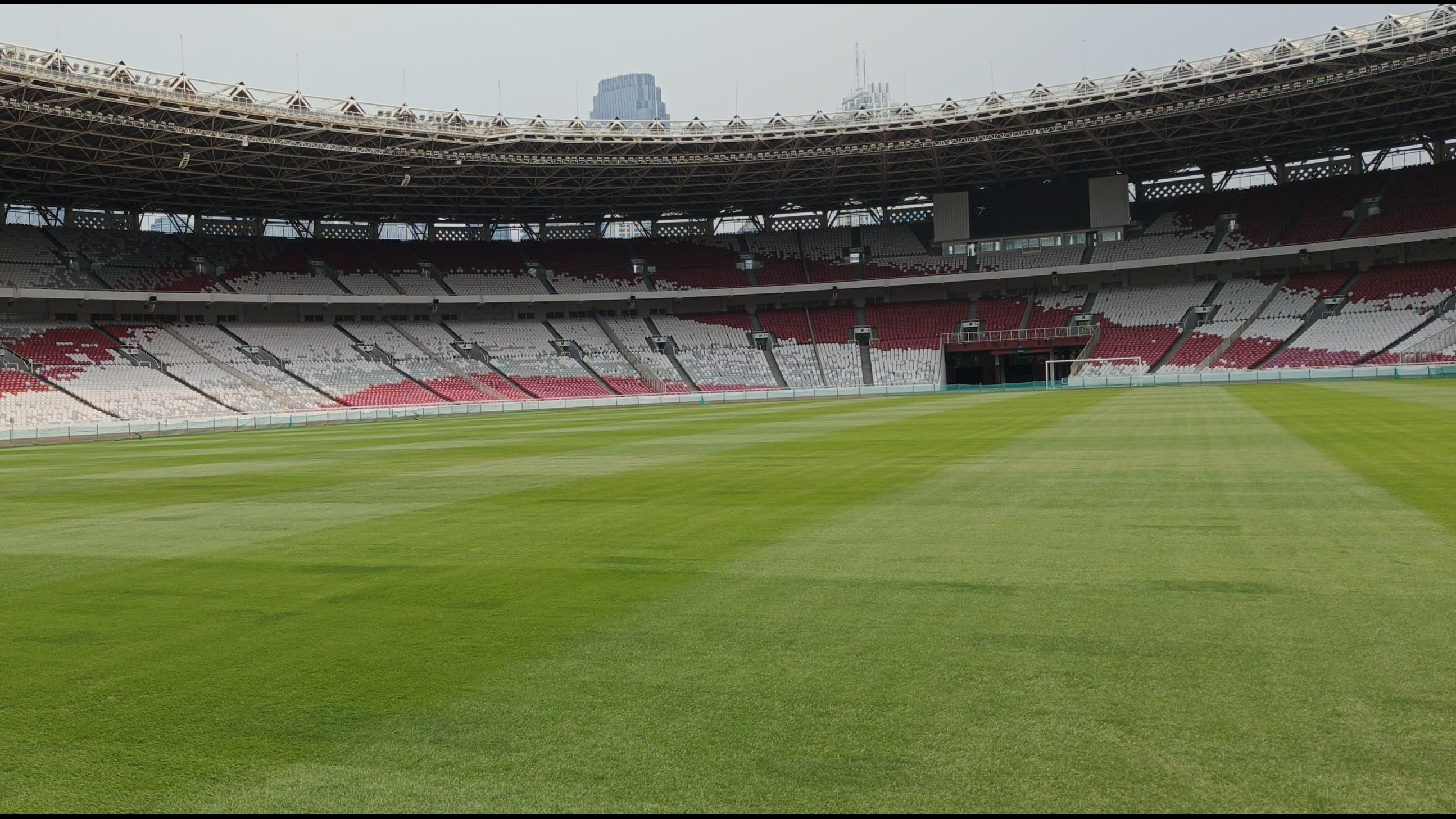 Kondisi Rumput Stadion Gelora Bung Karno Jelang Timnas Indonesia Tampil di Kualifikasi Piala Dunia 2026