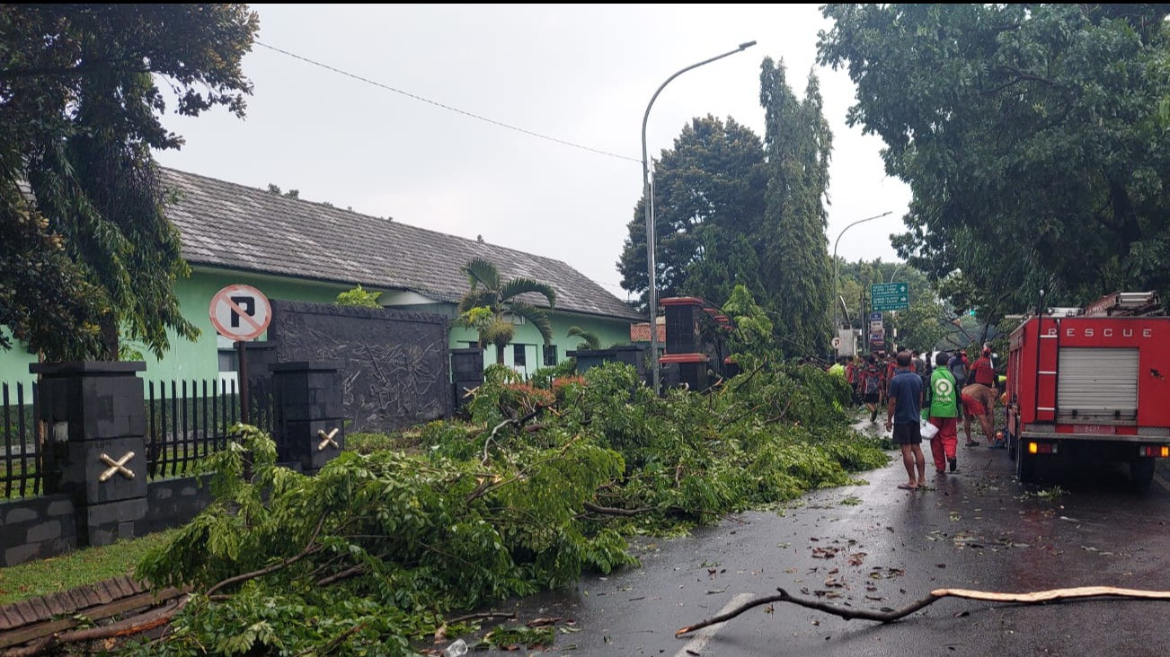 Hujan Deras Disertai Angin Kencang, Sejumlah Pohon Berukuran Besar Bertumbangan di Kota Cimahi