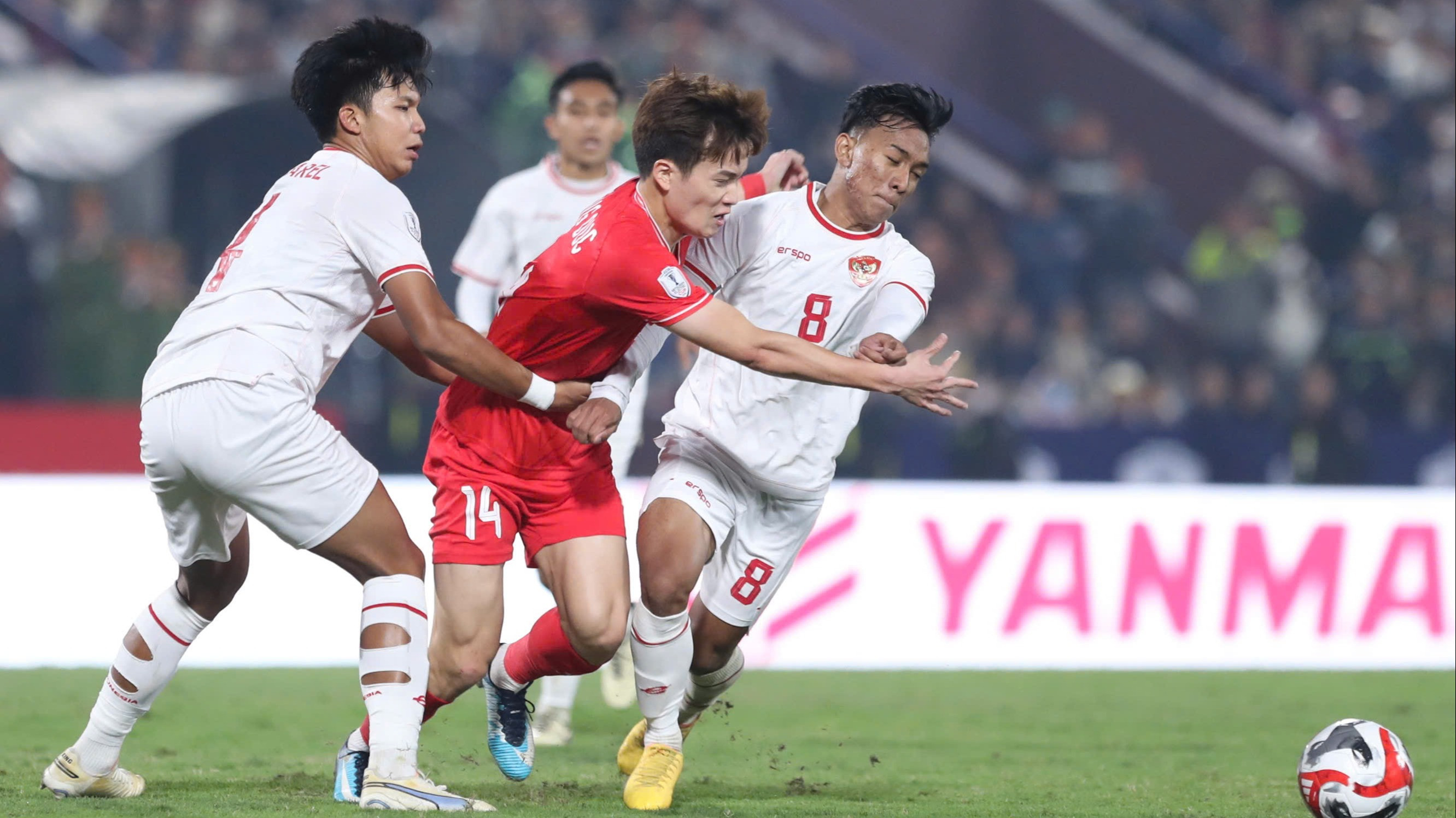 Timnas Indonesia di Piala AFF 2024