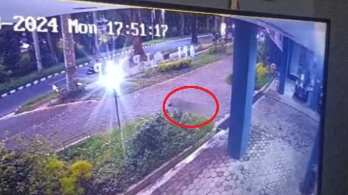 Gerak-gerik Mahasiswa Unej Terjatuh dari Gedung Kampus Terekam CCTV