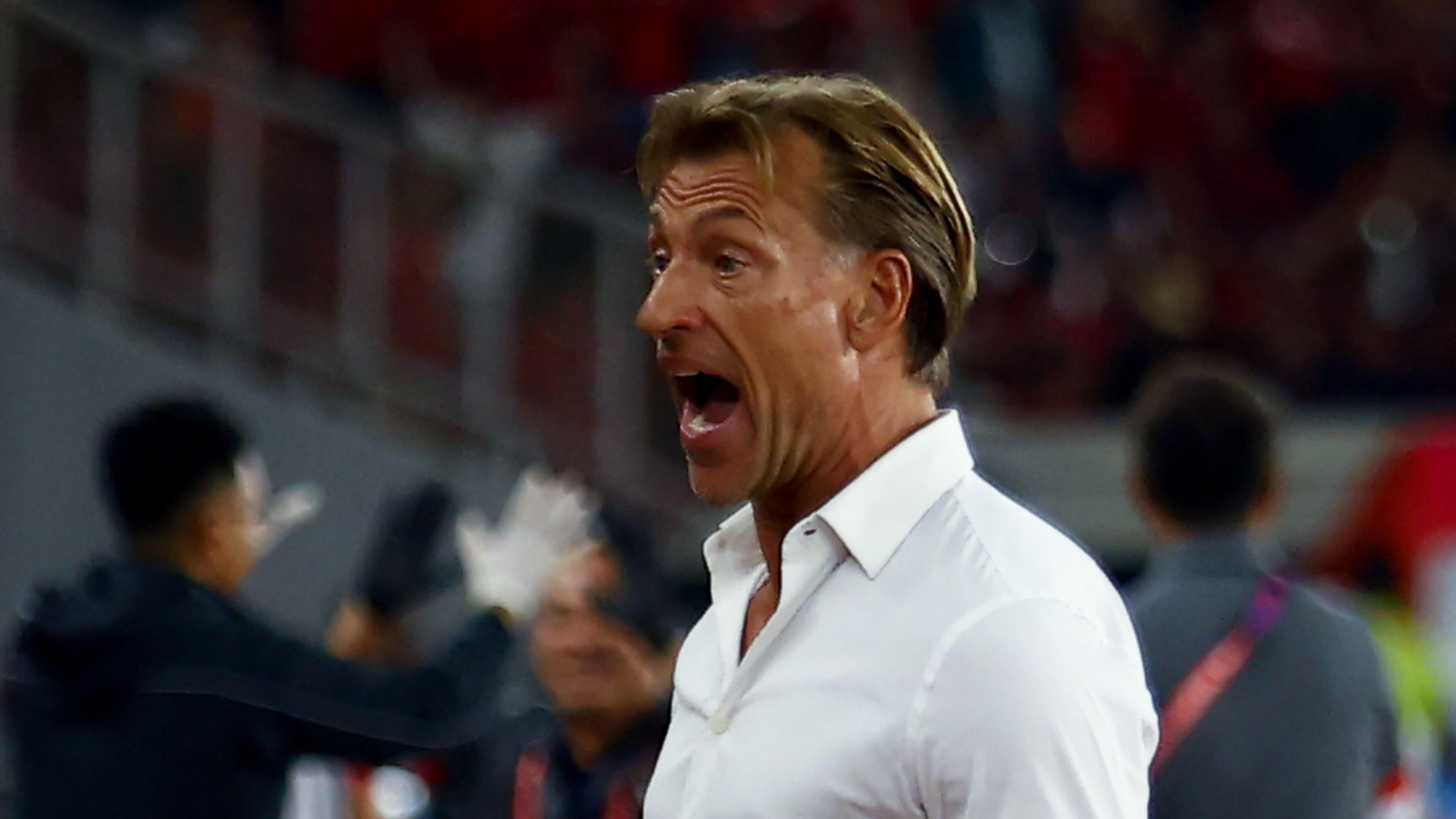 Pelatih Arab Saudi, Herve Renard