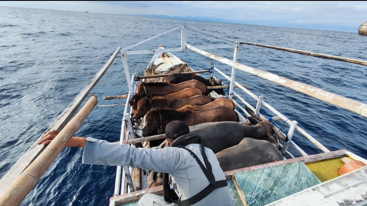 KN. Ular Laut-405 milik Bakamla RI melakukan Penyelamatan Kapal Nelayan berbendera Indonesia.