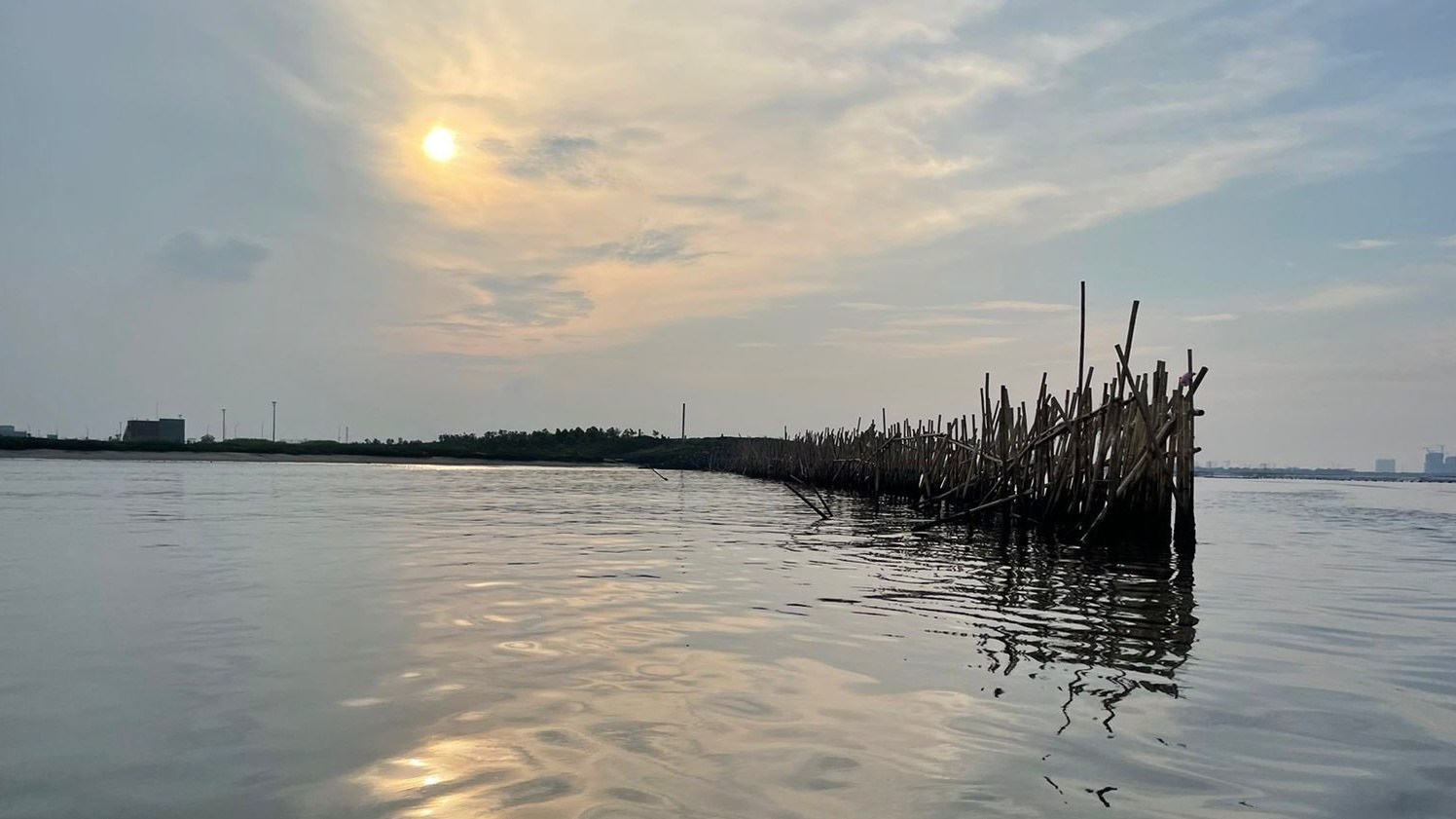 Temuan Baru Pagar Bambu di Pulau C