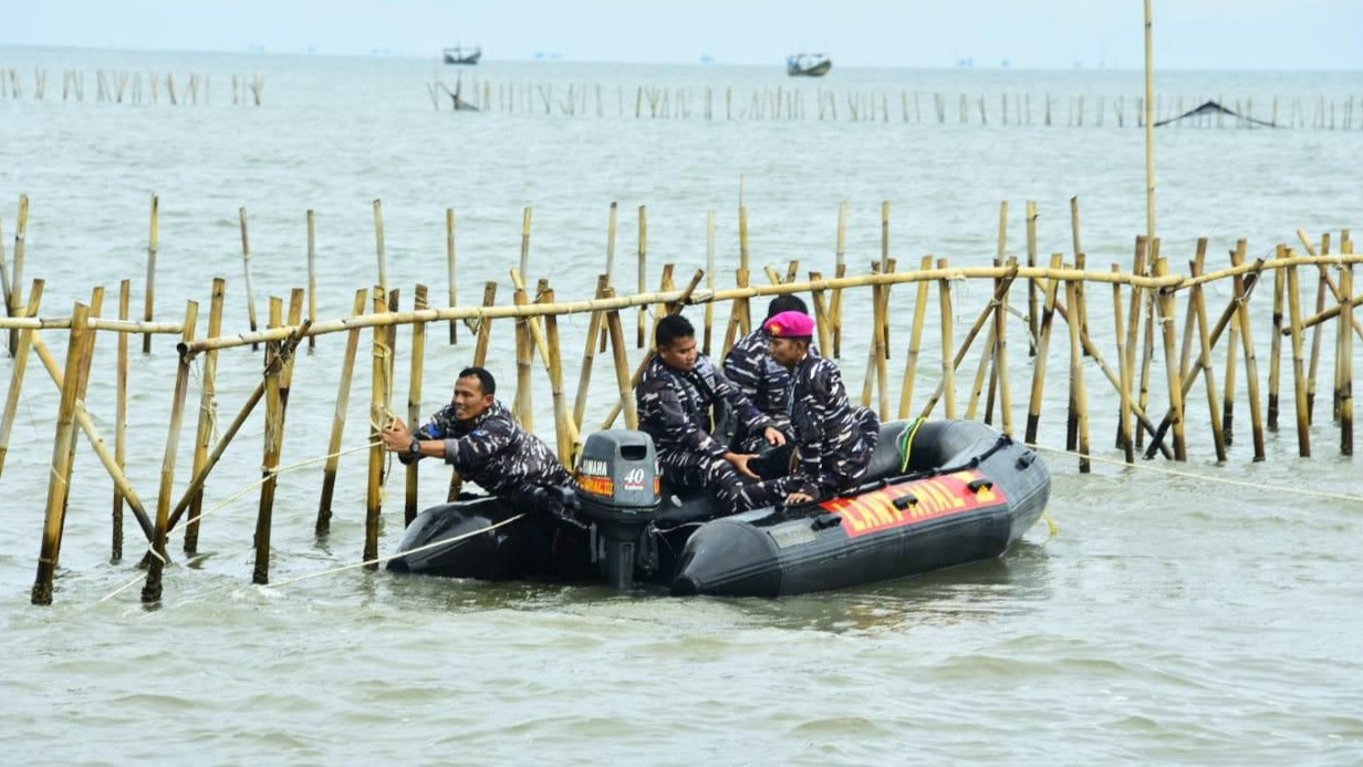 Atas Perintah Prabowo, TNI AL Bongkar Pagar Laut 30 KM demi Nelayan Tangerang