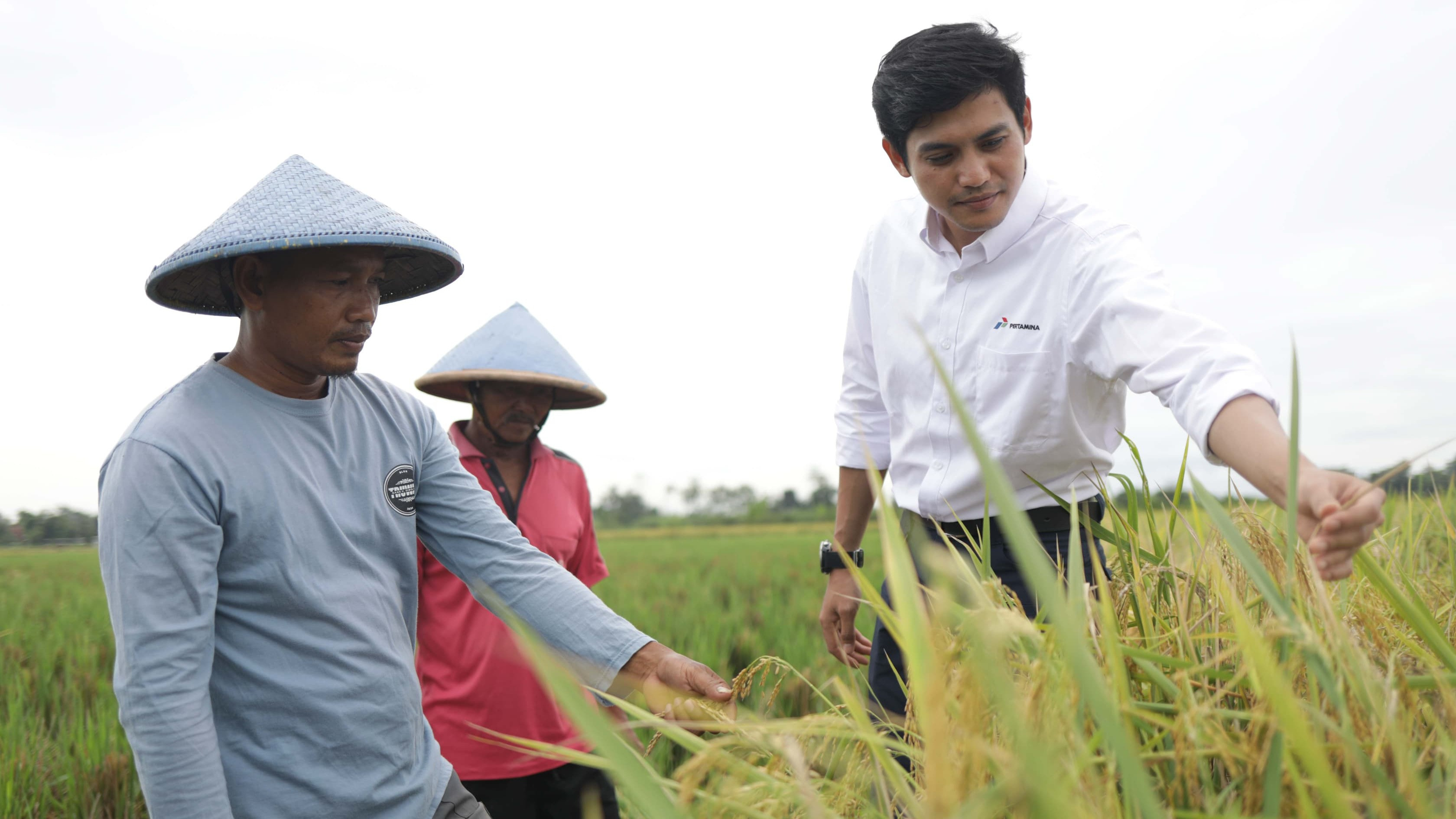 Kiprah Suman mendobrak stigma profesi petani. Di usianya yang 37, Suman adalah sosok pelopor petani milenial.