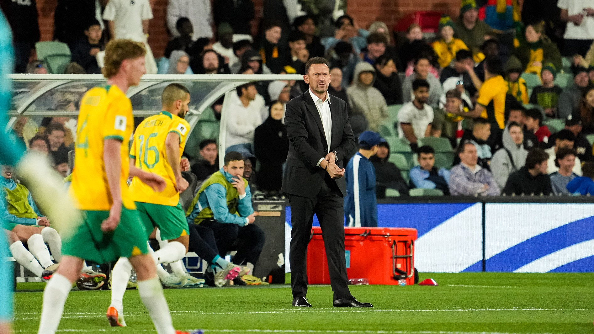 Pelatih Australia Singgung Kualitas Patrick Kluivert sebagai Pelatih Timnas Indonesia: Dia Belum Memiliki…