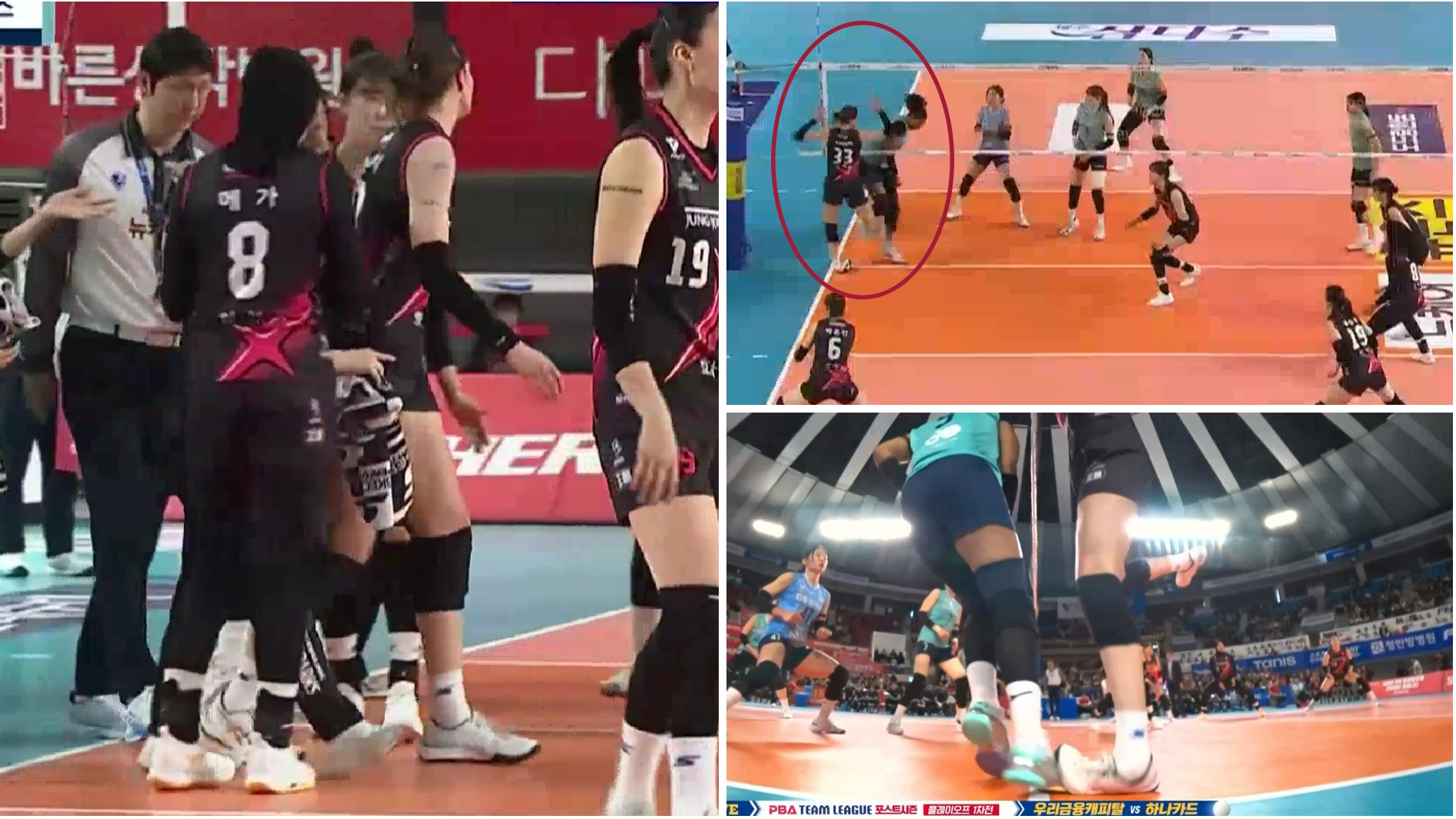 Vanja Bukilic Alami Cedera saat Duel dengan Gysell Silva